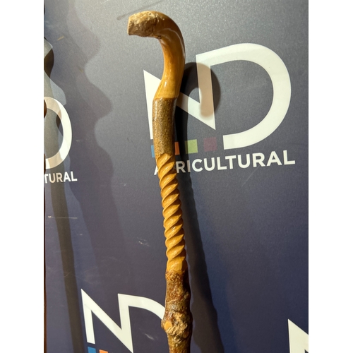 419 - WALKING CANES