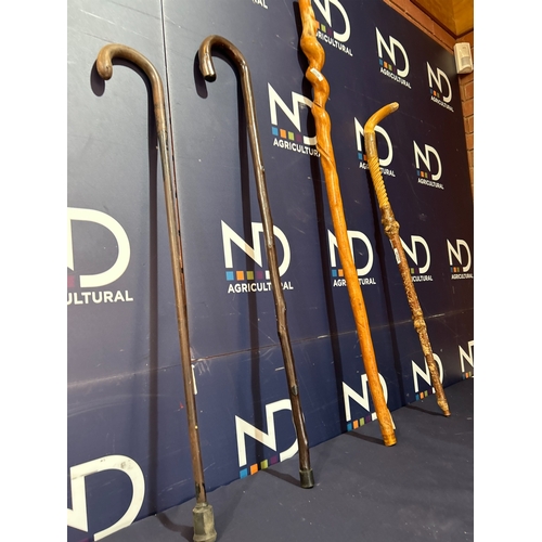 419 - WALKING CANES