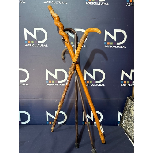 419 - WALKING CANES