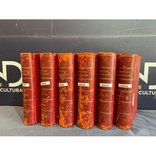 Lot 49        