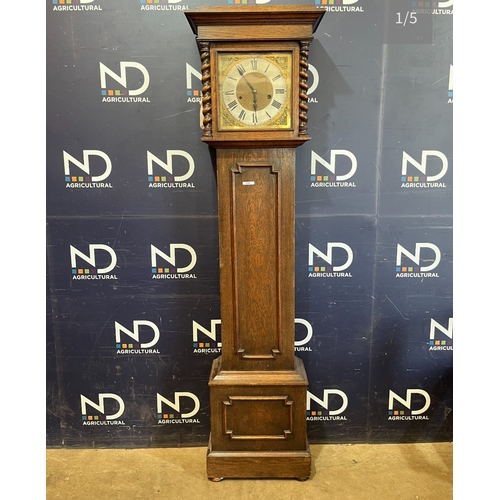 Lot 55        