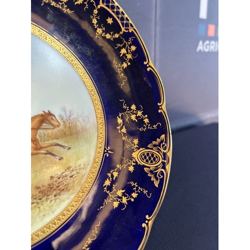 693 - COALPORT HAND PAINTED PLATES