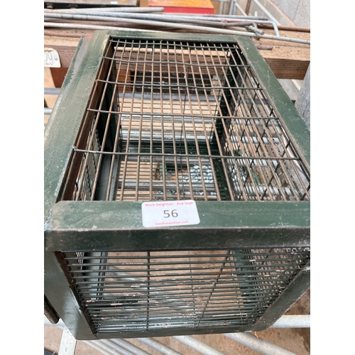 Lot 56        