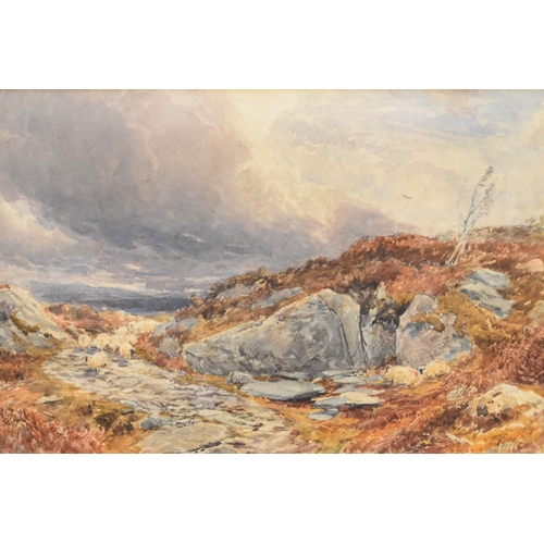 410 - Thomas Collier (1840 - 1891) Sheep on a Rocky Path, signature lower right, watercolour, 22 x 32 cm, ... 