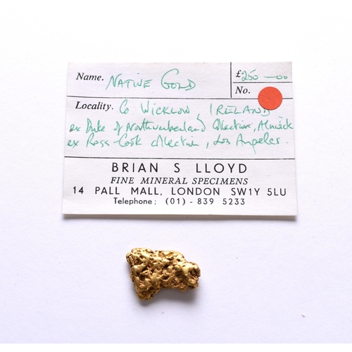 99 - A gold nugget, from County Wicklow, Ireland, with accompanying purchase card from Brian S. Lloyd and... 