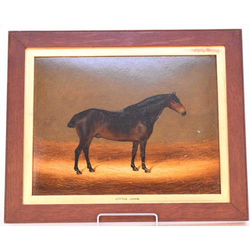 294 - British School (19th Century) Portrait of a Horse 'Little John' in a stable, signed F.P. Langley dat... 