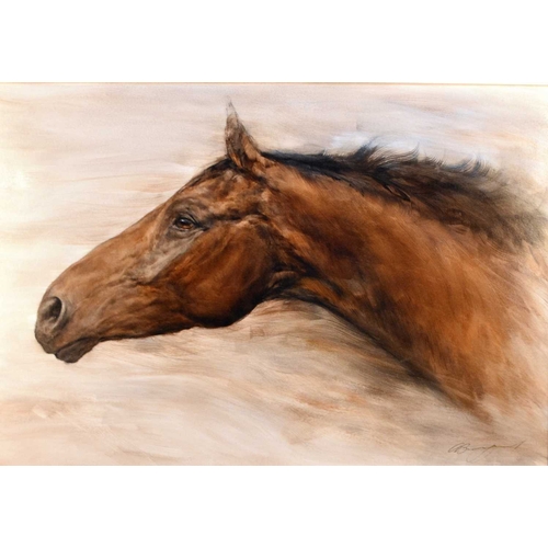 295 - Gary Benfield (b.1950) Portrait of a Horse, signed lower right, oil on board, 52 x 74 cm, frame 72 x... 