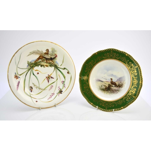 37 - Two Coalport plates, comprising an unusual plate, circa 1865-70, hand painted with game birds on a g... 