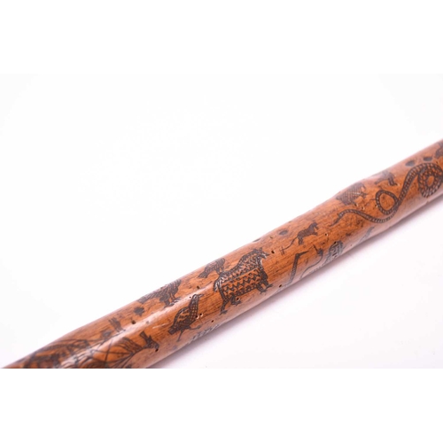 401 - A 19th century incised cane, likely of Colonial Indian origin, the tapering shaft with natural knot ... 