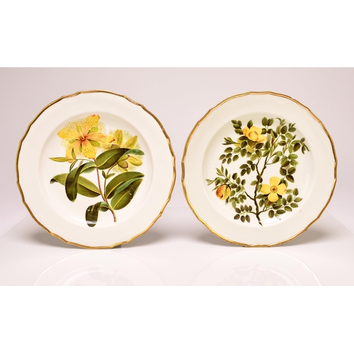 138 - A pair of Derby porcelain botanical plates in the manner of William Quaker Pegg, circa 1795-1800, pa... 