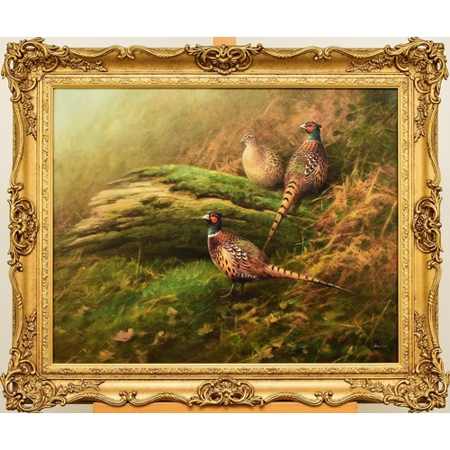 283 - Neil Cox (b.1950) Pheasants Foraging in the Bracken, signed lower right, oil on canvas, 61 x 76 cm, ... 