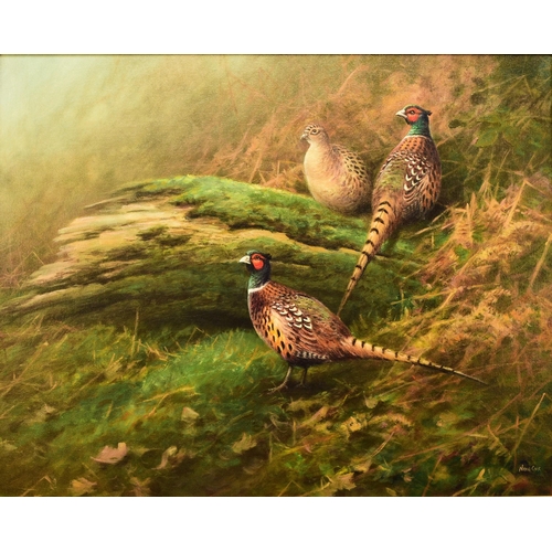 283 - Neil Cox (b.1950) Pheasants Foraging in the Bracken, signed lower right, oil on canvas, 61 x 76 cm, ... 