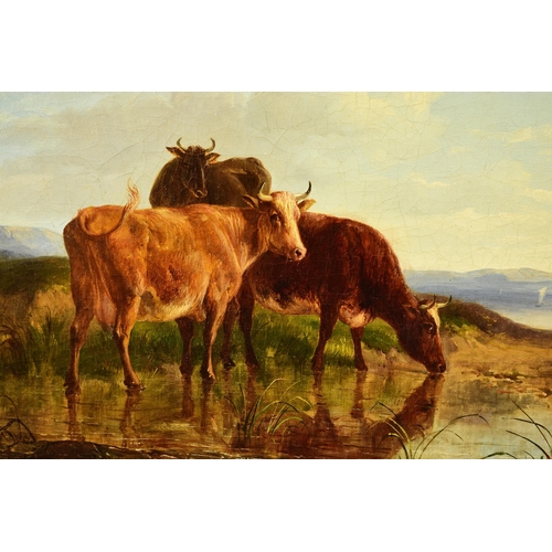 290 - Thomas Sidney Cooper RA (1803-1902) Three Cows Watering in a Dune Landscape, signed lower left, 1877... 