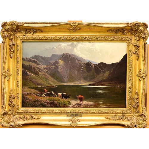 299 - Sidney Richard Percy (1821-1886) Cwm Idwal, signed lower right, oil on canvas, 23 x 36 cm, frame 34.... 