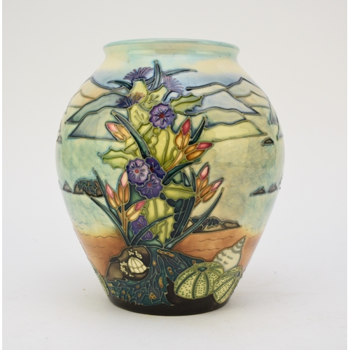 237 - A Moorcroft vase in the 'Islay' pattern designed by Rachel Bishop, dated 1999, a factory second, 22c... 