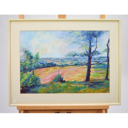 358 - Ruth Davies (British 20th Century) Walton Hill, Clent, signed verso, 38 x 55 cm, frame 53 x 69 cm Pr... 