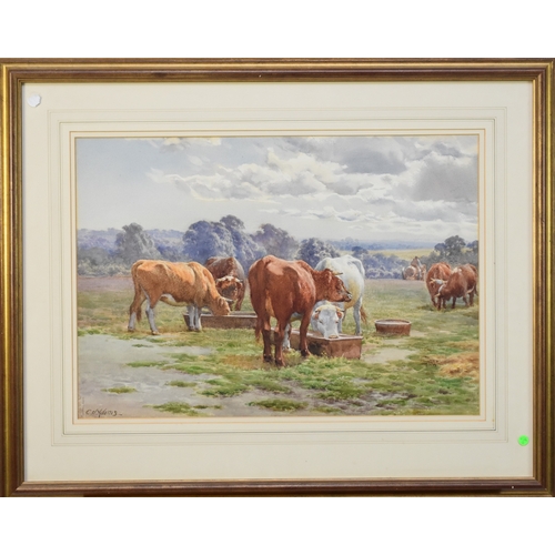 387 - Charles James Adams (1859-1931) Thirsty, cattle watering, signed lower right, watercolour, 37.5 x 53... 