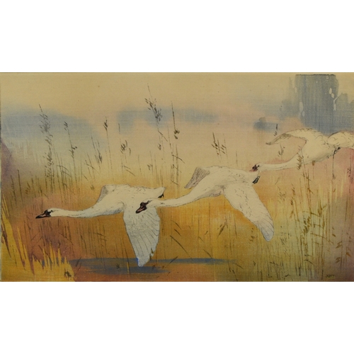 401 - Allen William Seaby (1867-1953) Mute Swans in Flight, signed lower left, numbered 64/100, woodblock ... 