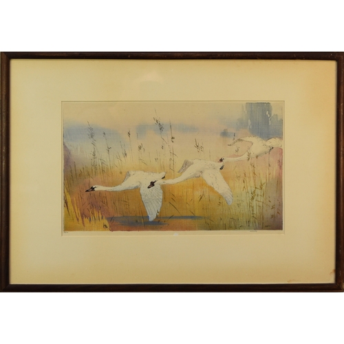 401 - Allen William Seaby (1867-1953) Mute Swans in Flight, signed lower left, numbered 64/100, woodblock ... 