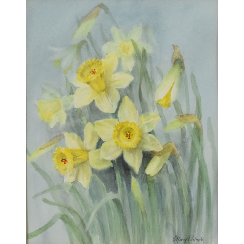 473 - Mary E Podmore (20th Century) Gold and Silver Daffodils, signed, watercolour, 29 x 23 cm, frame 52 x... 