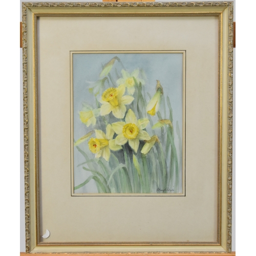 473 - Mary E Podmore (20th Century) Gold and Silver Daffodils, signed, watercolour, 29 x 23 cm, frame 52 x... 