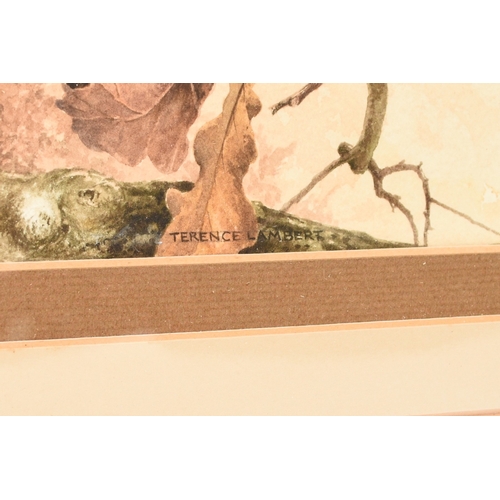 103 - Terence Lambert (British b.1951) Red Kite, signed lower left, watercolour, 33 x 44 cm, frame 58 x 66... 