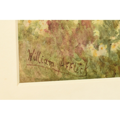 105 - William Affleck (1869-1943) Lady Gathering Spring Daffodils with her dog, signed lower left, waterco... 