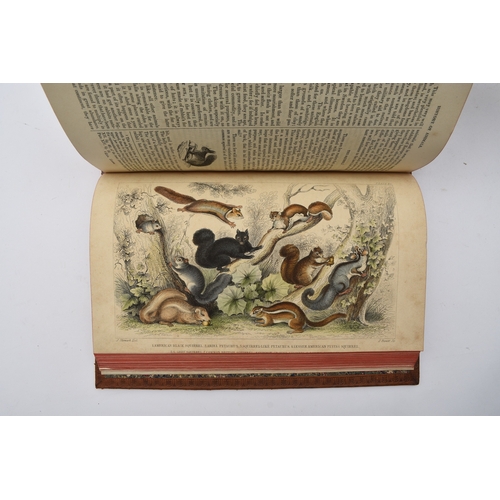 26 - GOLDSMITH, Oliver, A History of the Earth and Animated Nature. 2 volumes, 1852. With 36 coloured and... 