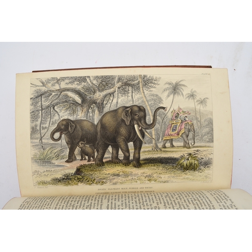 26 - GOLDSMITH, Oliver, A History of the Earth and Animated Nature. 2 volumes, 1852. With 36 coloured and... 