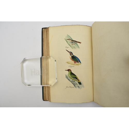 72 - MUDIE, Robert, The Feathered Tribes of the British Islands, 2 vols, 2nd edition 1835. Hand coloured ... 