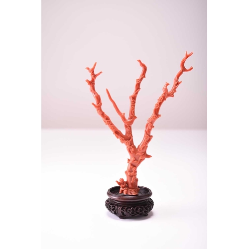 127 - A Chinese coral carving of a prunus tree, Qing Dynasty Modelled as a tree with three branches flower... 