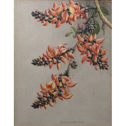 Lot 186       