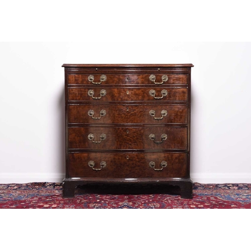 Lot 234       