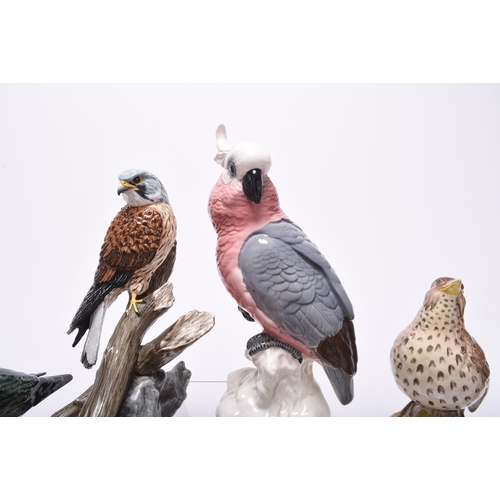 132 - A group of models of birds, comprising Beswick birds: a Lesser Spotted Woodpecker, a Thrush, a Lapwi... 