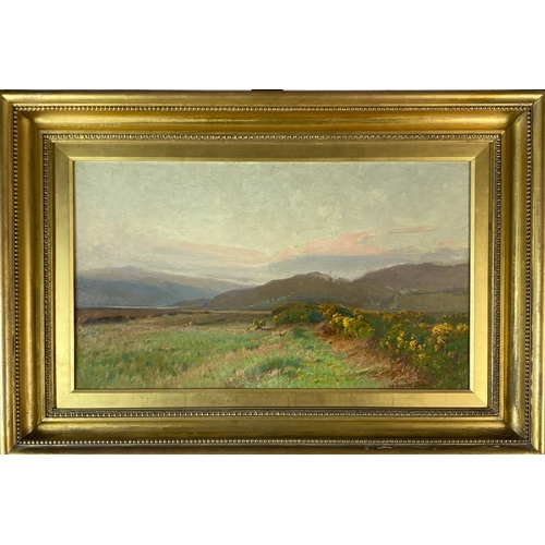 451 - Chisholm Cole (1871-1902) Gorse Bushes in a hilltop landscape, signed lower right, oil on canvas, 36... 