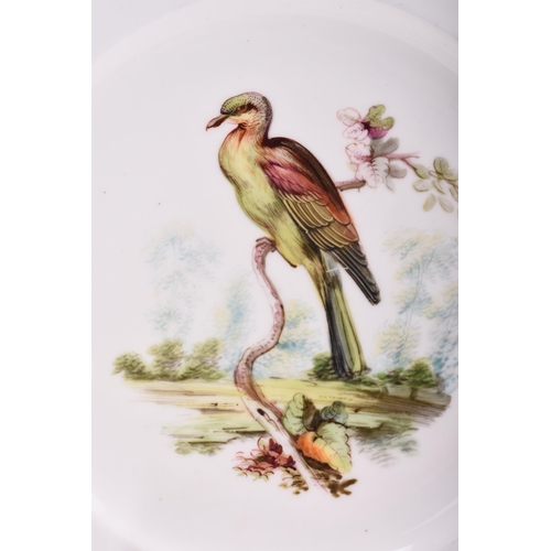 103 - A Coalport dessert service, circa 1855, painted by John Randall with assorted birds, several named t... 