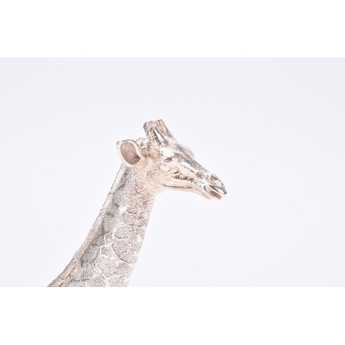 19 - A Patrick Mavros silver model of a giraffe, the sculpture modelled as a Giraffe calf standing, stamp... 