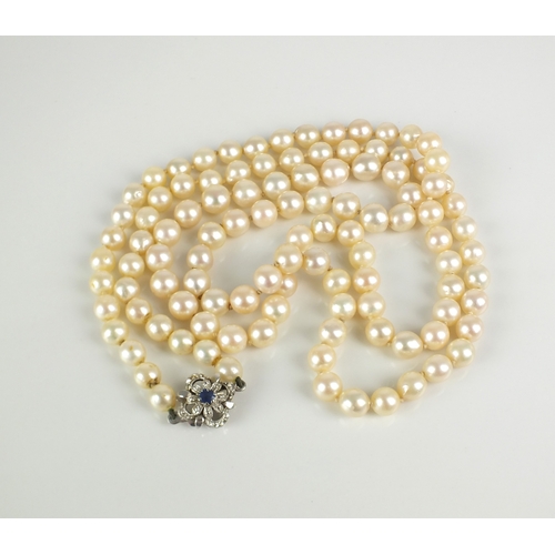 31 - A single strand graduated cultured pearl necklace, with sapphire set clasp, comprising 109 cultured ... 