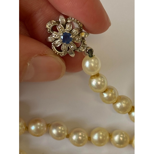 31 - A single strand graduated cultured pearl necklace, with sapphire set clasp, comprising 109 cultured ... 