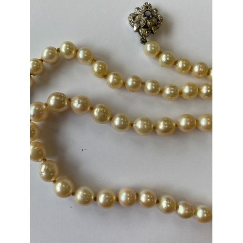 31 - A single strand graduated cultured pearl necklace, with sapphire set clasp, comprising 109 cultured ... 