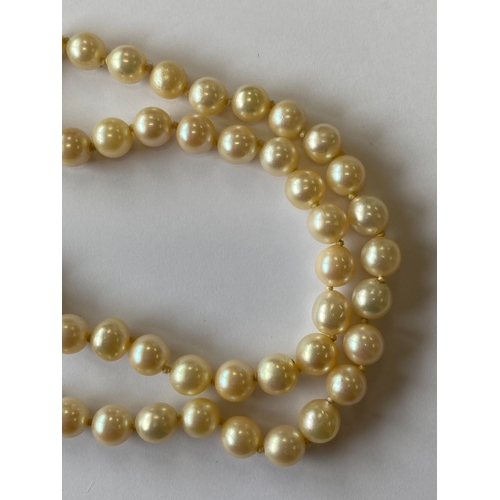 31 - A single strand graduated cultured pearl necklace, with sapphire set clasp, comprising 109 cultured ... 