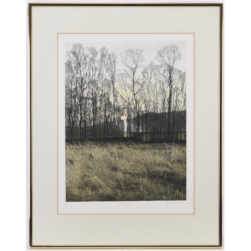 103 - Phil Greenwood (b.1943) Sunset, artist proof, signed lower right, etching aquatint, 43 x 33 cm (PL),... 