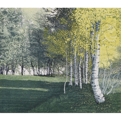 105 - Phil Greenwood (b.1943) Pool Light, artist proof, signed lower right, aquatint, 41 x 47 cm (PL), fra... 