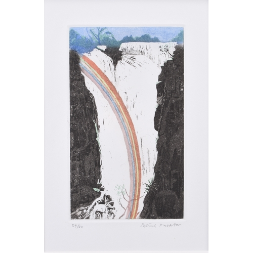 128 - Patrick Procktor (1936-2003) Victoria Falls, signed lower right, numbered 39/50, etching in colours,... 