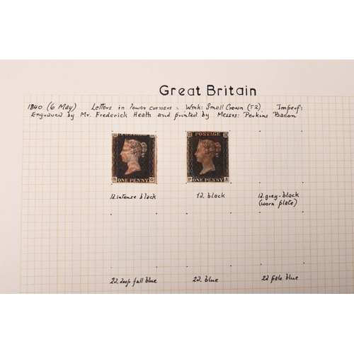 343 - Great Britain and Commonwealth collection, mint and used, housed in 10 albums plus some loose pages;... 