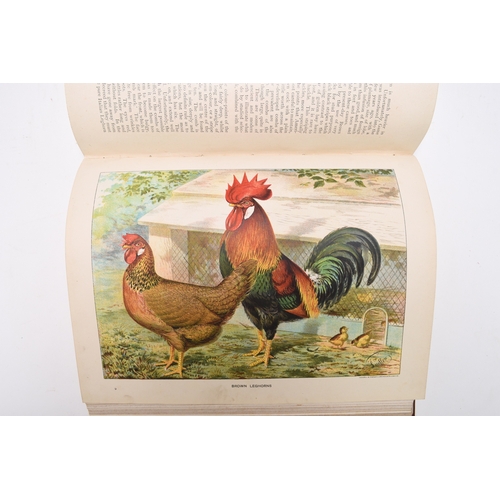 37 - WRIGHT, Lewis, The New Book of Poultry, 4to, 1902. With 30 plates in colour