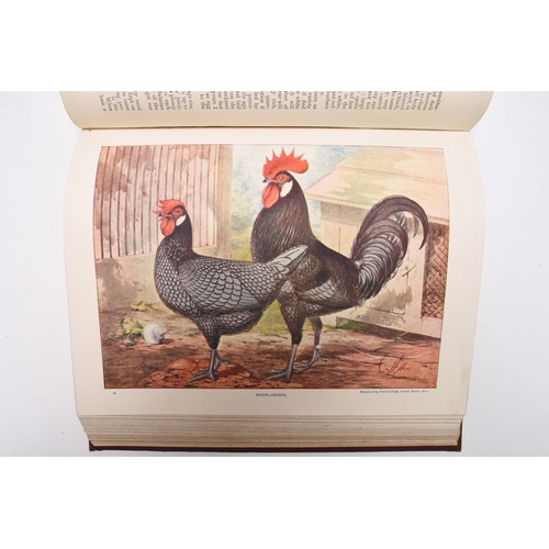 37 - WRIGHT, Lewis, The New Book of Poultry, 4to, 1902. With 30 plates in colour