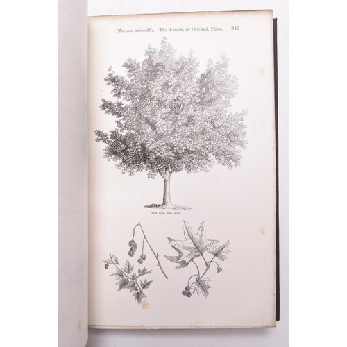 49 - FROM PRINCE ALBERT'S LIBRARY. Loudon, J C, Arboretum et Fruticetum Britannicum; or the Trees and Shr... 