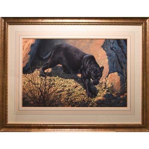 108 - Adrian Rigby (b.1962) Panther, Black Magic, signed lower left, gouache, 47 x 71 cm, frame 78 x 102 c... 