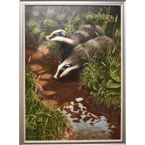 120 - Adrian Rigby (b.1962) Badgers Drinking from a Stream, signed lower left, oil on board, 62 x 44 cm, f... 